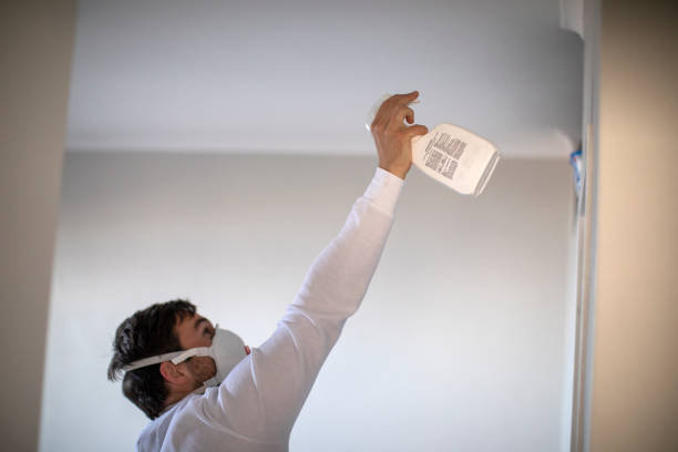 Best Residential Mold Removal  in Huntington, VA