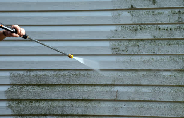 Best Home Mold Removal  in Huntington, VA