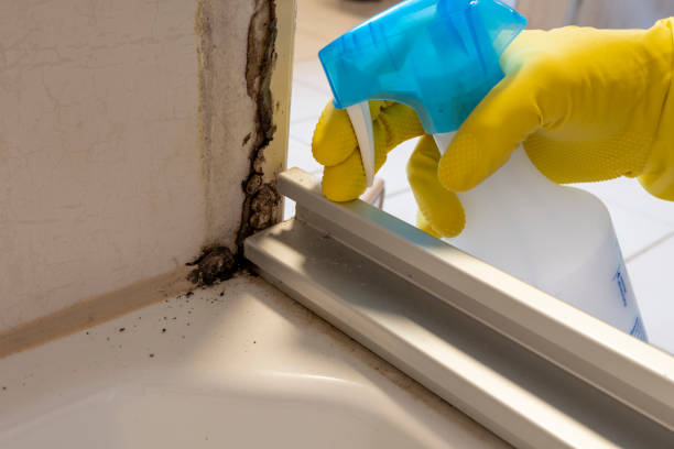 Best Crawl Space Mold Removal  in Huntington, VA