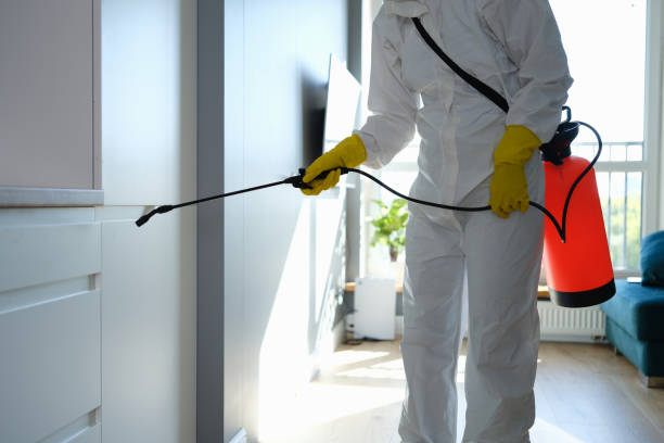 Best Attic Mold Removal  in Huntington, VA